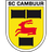 SC Cambuur-Leeuwarden crest
