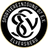 SV 07 Elversberg crest